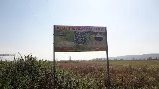 Адыгейский чай из п Цветочный ст Махошевская   Святой источник и купель