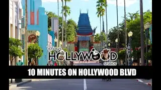 Disney's Hollywood Studios Reopening Crowds 10 Minutes On Hollywood Boulevard