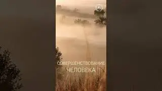#БлагоВест ✴ СОВЕРШЕНСТВОВАНИЕ ЧЕЛОВЕКА