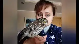 Трек про Юлианна Колдовко 🔥