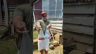 Disuruh Ibu Kewarung Tapi Lupa Mau Beli Apa