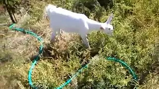 Как начать вести свое хозяйство?