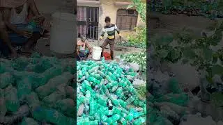 coca cola me hua bhari nuksaan