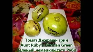 Лучшие Зеленоплодные томаты 2021 года