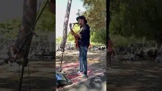 Cut The Chord - Alexander Mills (original song) #shortsfeed #musician #songwriter