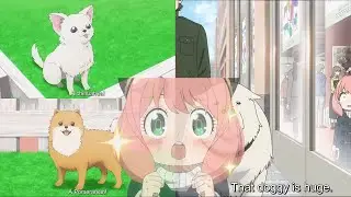 Anya introducing pets | Spy x Family