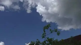 Копия видео 