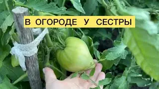 Ранним УТРОМ хозяйничаю в ОГОРОДЕ 🧑‍🌾 Прокатились по знакомым МЕСТАМ 🚗 СЕЛО КНЯЗЕВО