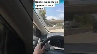 С какой скоростью движется поток на фривее в сша