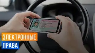 C 1 марта в России можно будет предъявлять электронные водительские права вместо пластиковых