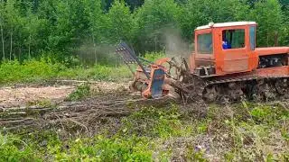 5 июля 2021 г.
