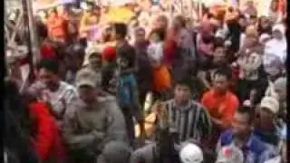 pacar 5 langkah - citra marcelina