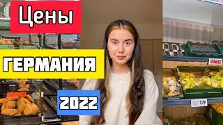 ЦЕНЫ на продукты в ГЕРМАНИИ🇩🇪 Октябрь| Беженцы в Германии| Жизнь в Германии😱