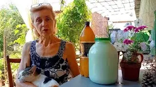 ❗сем привет от Вени🐾🐈Славянск 5 августа 2023