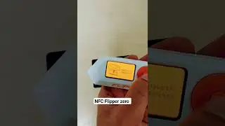 Card Game Changer: Discover the NFC Flipper Zero 