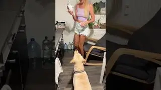Labrador and İrina Kovych😁