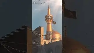 Ali Yasin duasından...#kerbela #yahussain #yahuseyn #yazehra #yaali #yaallah #najaf