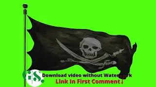 Danger Skull Flag Green Screen Video