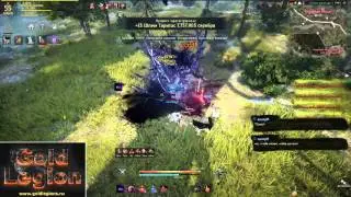 СТРИМ: Black Desert, Мистик, F2P, фармим кольца/серьги