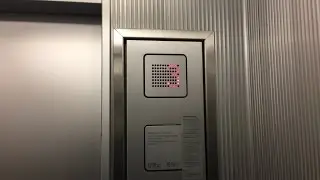 Amazing Schindler M-Line(Mod?) Traction Elevators at Globus Department Store in Zurich, Switzerland