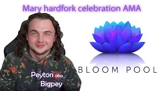 Cardano Bloom Token Airdrop + Multi-Assets coming tomorrow! | ADA AMA