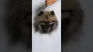 Самый реалистичный рисунок собаки 