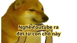 Chắc Chắn Bạn Chưa Biết : Nghề Youtuber Ra Đời Từ Đâu?