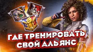 Как тренировать рейдеров и игроков поддержки – State of Survival