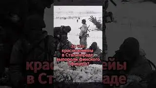 За что красноармейцы в Сталинграде выпороли финского офицера? 