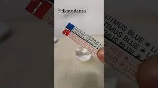 Litmus test of Vinegar | litmus paper experiment 