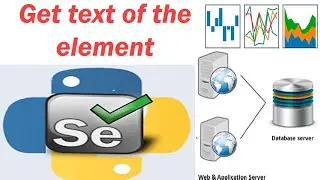 19 Selenium with python -- Get text of the element