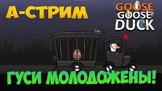 👩‍❤️‍👨А-Стрим • Гуси Молодожены! • Goose Goose Duck
