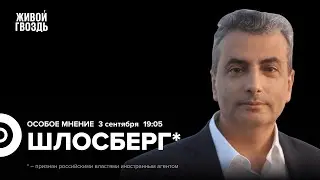 Удар по Полтаве. Конфликт с Пархоменко*. Навальная**. Шлосберг*: Особое мнение @lev.shlosberg