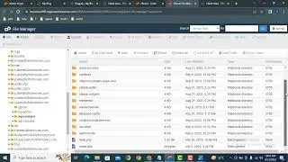 Install a wordpress plugin from cpanel