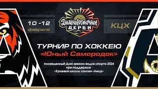 Амур 12/1 - Адмирал 12/1. 10.02.2024. Прямой эфир