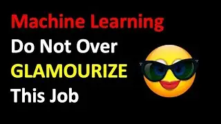 The Not So Glamorous Career as a Machine Learning Engineer