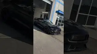 Shelby GT350 Rolling! 🏎️