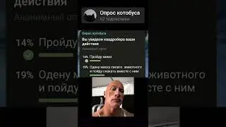 вы увидели квадробера ваши действия 