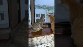#najim