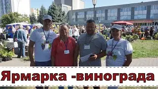 Выставка- ярмарка винограда . Пинск 2023г. Часть 1.