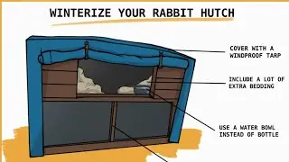 Winterizing My Rabbit Hutch