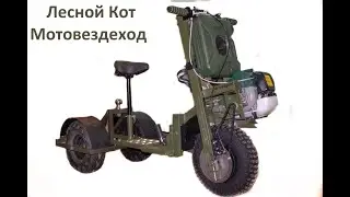Лесной Кот - Мотвездеход. Трайк. Буксировщик прицепов для лодок