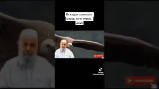 ХОЧИ МИРЗО 2023