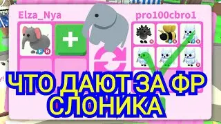Что Дают за FR Слоника в Адопт ми. Супер ТРЕЙДЫ на СЛОНИКА в Адопт ми
