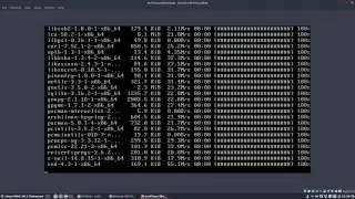 how to install arch linux and install any desktop environment afterwards -iso of 01/2017