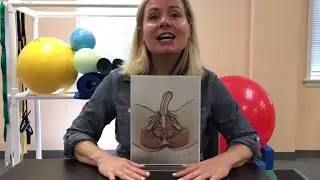 Erectile dysfunction and physical therapy | Connect PT