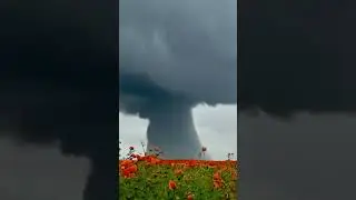 Tornado after the flowers field