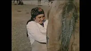 Фитиль 259