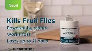 Wondercide® Fruit Fly Trap for Home + Kitchen [Easy How-To]