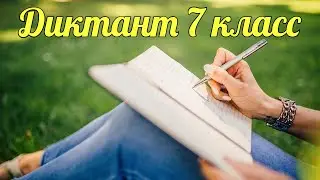 Диктант по русскому языку 7 класс «В лесной глуши»